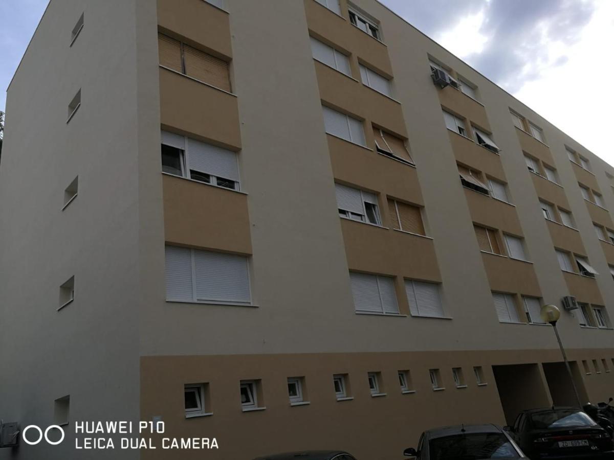 Apartment Mihaela Zadar Exterior photo