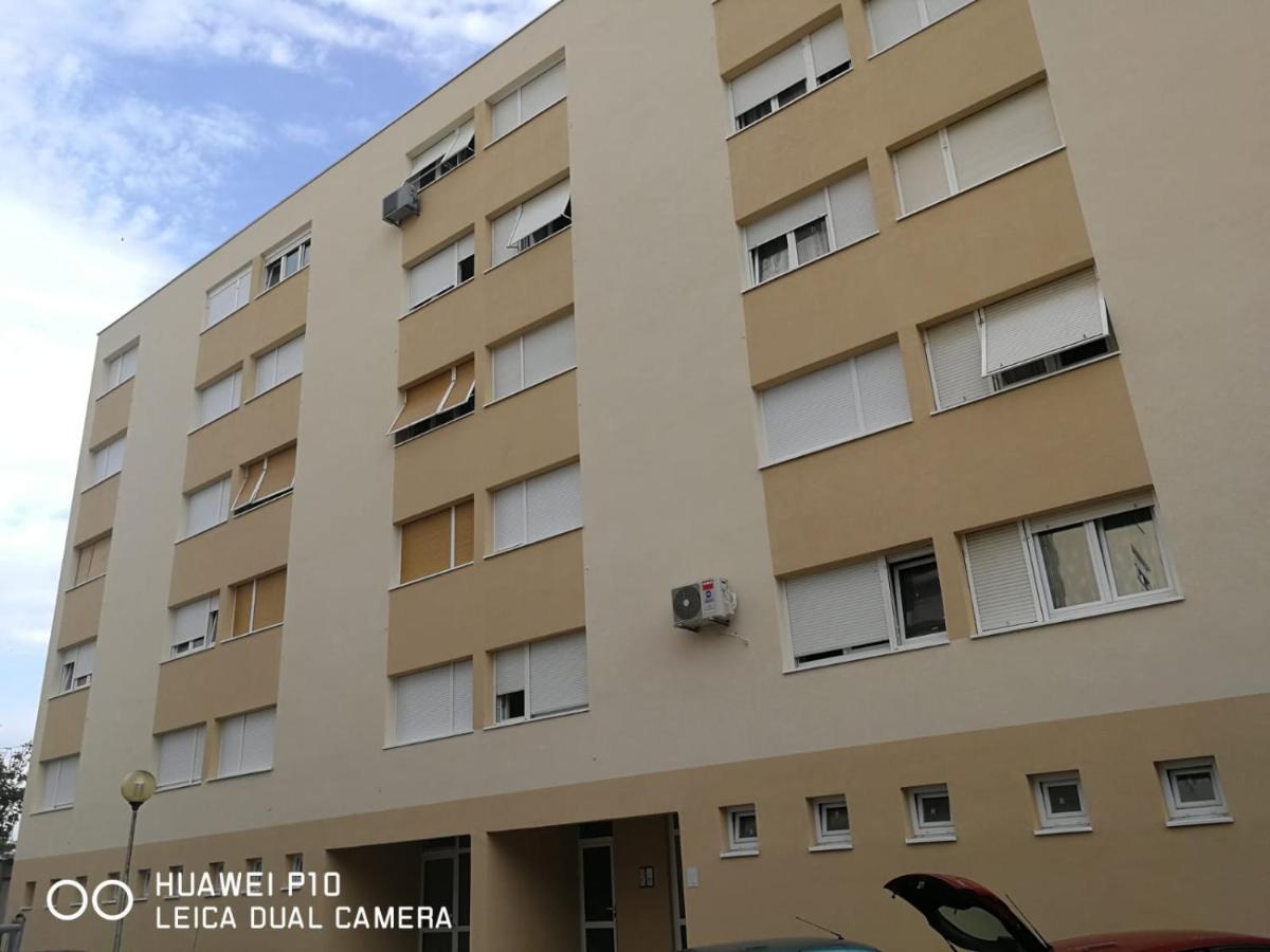 Apartment Mihaela Zadar Exterior photo